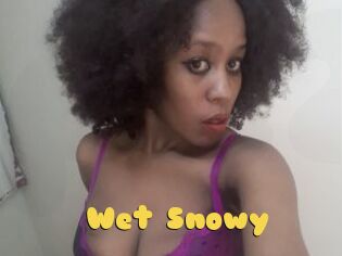 Wet_Snowy