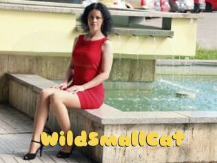 WildSmallCat