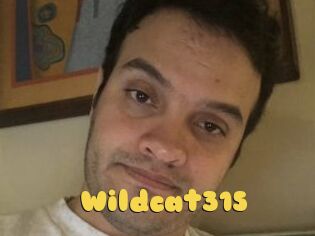 Wildcat315