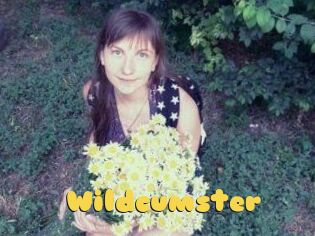 Wildcumster