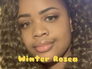 Winter_Rosea