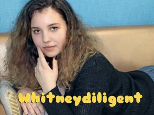 Whitneydiligent