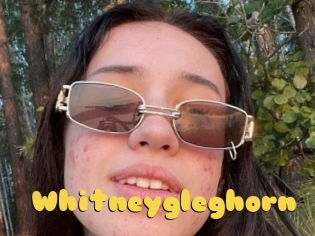 Whitneygleghorn