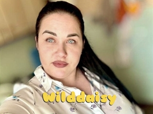Wilddaisy