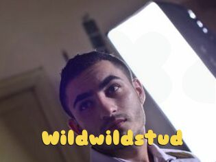 wildwildstud Px24 Sexcam