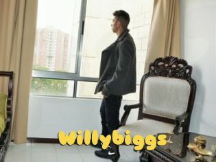 willybiggs Px24 Sexcam