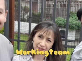Workingteam