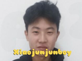 Xiaojunjunboy