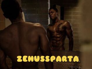 ZEHUS_SPARTA