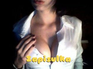 Zapisulka