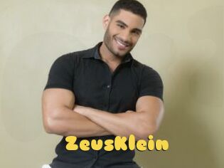 ZeusKlein
