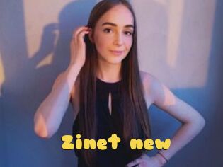 Zinet_new