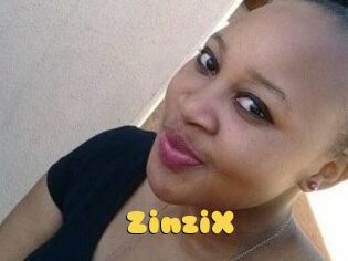 ZinziX